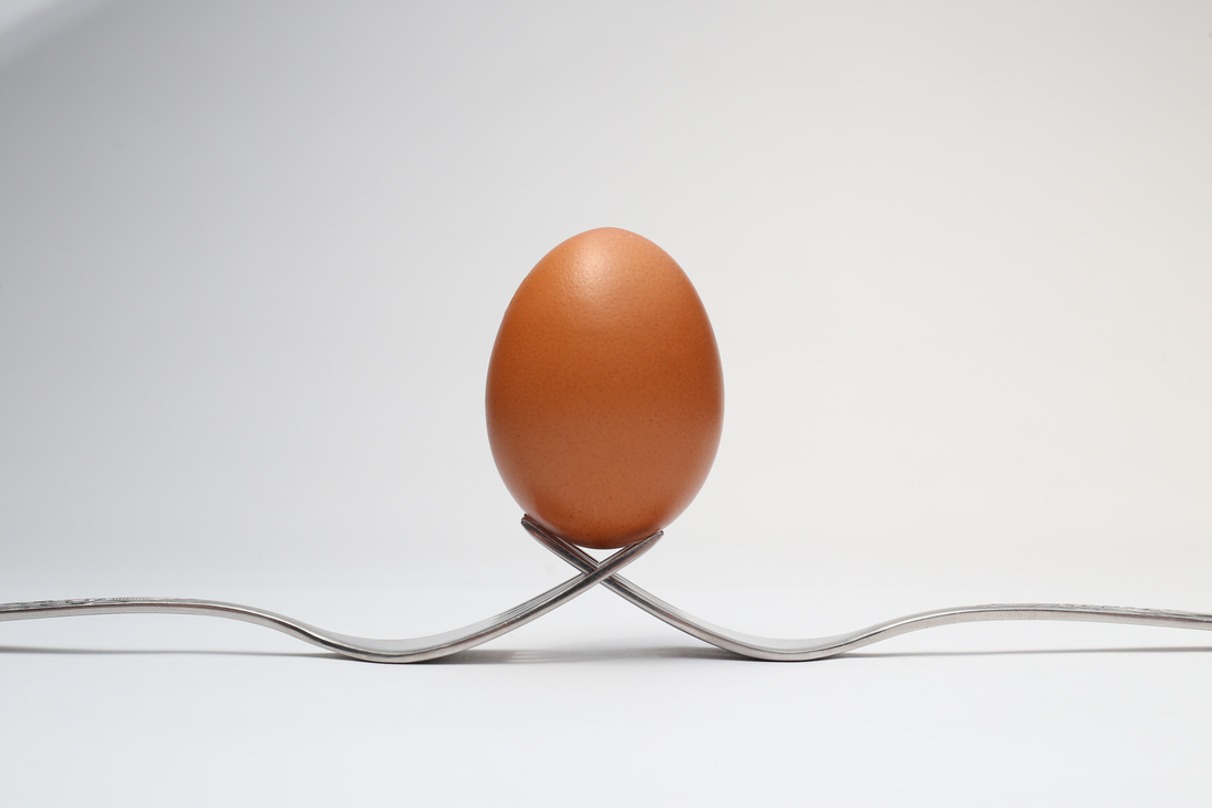 Brown Egg